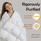 Premium King Goose Down Comforter – 95% Goose Down, 750+ Fill Power, 100% Cotton All Season | Oeko-Tex Certified, 1000+ Cleanliness, 90"x100" Duvet Insert
