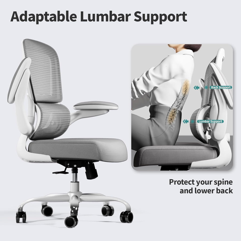 TRALT Office Chair - Ergonomic Desk Chair with Adjustable Lumbar Support, Mesh Computer Chair, Executive Chairs for Home Office Comfortable Lumbar Support (Ash Gray)