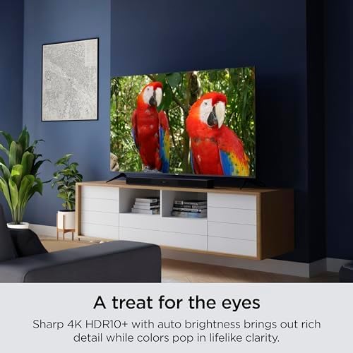 Roku Smart TV – 50-Inch Select Series 4K HDR RokuTV with Roku Enhanced Voice Remote  Brilliant 4K Picture  Automatic Brightness  & Seamless Streaming – Live Local News  Sports  Family Entertainment