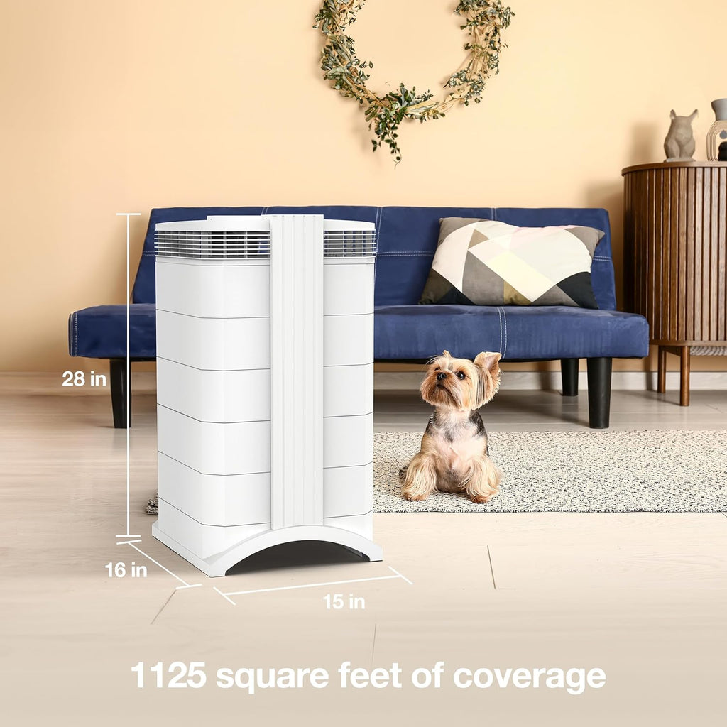 IQAir HealthPro Air Purifier - Smart HyperHEPA Filtration for Large Rooms up to 1125 sq ft - Smoke, Viruses, Allergens, Asthma, Mold, Dust, Pets, Swiss Made, Wifi App Control (Large Room - Plus XE)