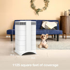 IQAir HealthPro Air Purifier - Smart HyperHEPA Filtration for Large Rooms up to 1125 sq ft - Smoke, Viruses, Allergens, Asthma, Mold, Dust, Pets, Swiss Made, Wifi App Control (Large Room - Plus XE)