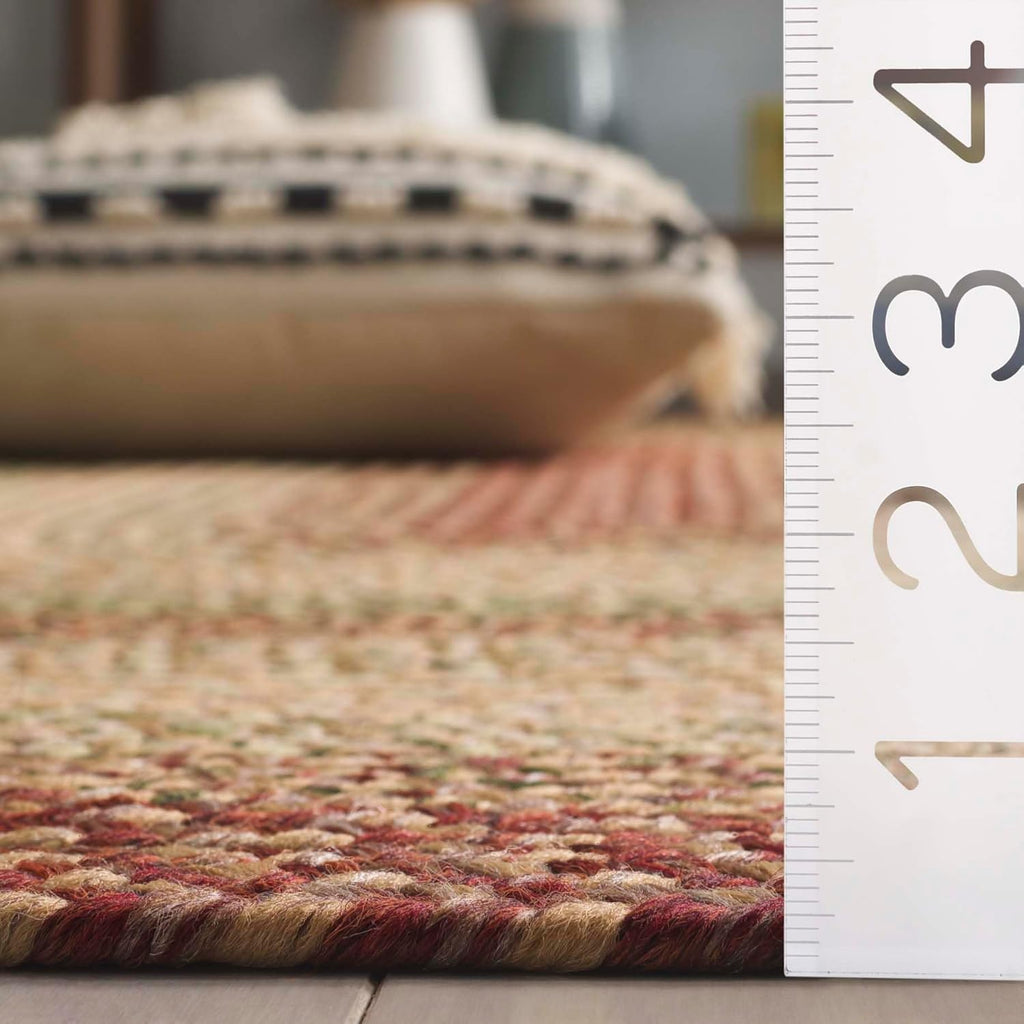 SAFAVIEH Washable Rug Outdoor Braided Collection - 8' x 10' Oval, Rust & Multi, Handmade & Reversible, Non-Shedding & Easy to Clean, Ideal for Patio, Backyard, Mudroom (BRD303A)