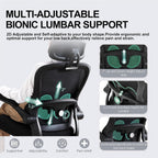 Ergonomic Office Chair,Ultra Thick Office Desk Chair with Adjustable Lumbar Support and Headrest,Spring Cushion,Rocking Function,Flip-up arms,Mesh Computer Chair for Home Office,Black