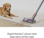 Dyson V15 Detect Cordless Vacuum Cleaner, Yellow/Nickel