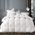 Globon Winter White Goose Down Comforter Queen Size,Down Duvet Insert,800 Fill Power,420 Thread Count Ultra Soft Noiseless Shell with Corner Tabs,White