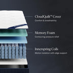 DreamCloud Classic 12" Twin XL Mattress - Luxury Hybrid Gel Memory Foam - 365 Night Trial - Back Pain Relief - Fiberglass Free - Forever Warranty - Mattress in a Box - CertiPUR-US Certified