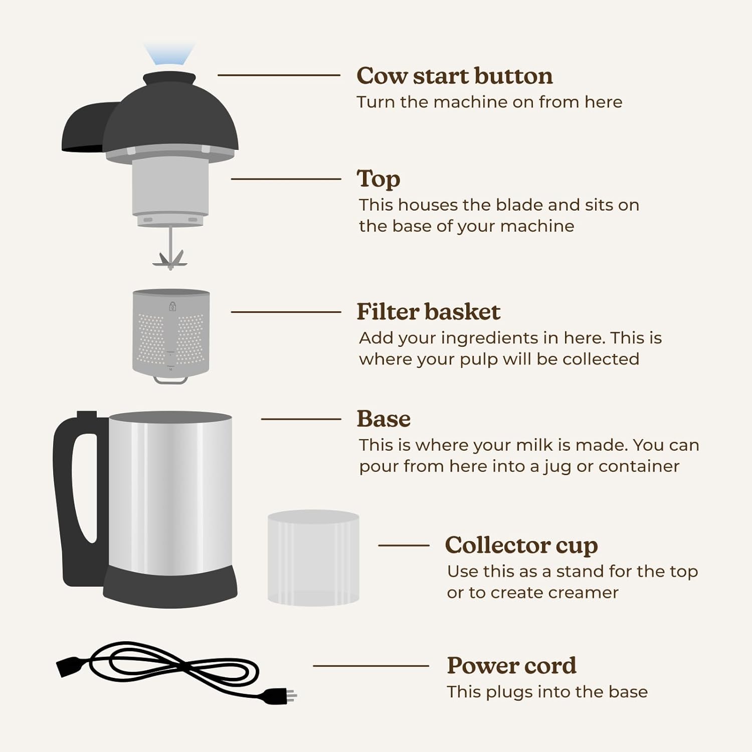 Almond Cow Nut Milk Maker Machine, Plant-Based Milk Maker for Almond, Oat, Cashew, Soy Milk, Stainless Steel, No Straining Needed - Makes 5-6 Cups, 120V