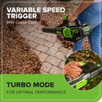 Greenworks 60V 17" Brushless (Push) Mower + 60V (610 CFM) Brushless Blower  4.0Ah Battery and 3A Charger