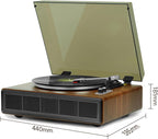 Vinyl Record Player with Bluetooth Input and Output  3 Speed Turntable Built in Speakers  RCA Output  AUX in  Earphone Jack  Retro Design for Home Audio