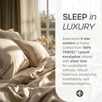 Eucalyptus Collection King Size Sheet w/Silver Ions | 100% Tencel | Ultra Soft | Cooling for Hot Sleepers | 18" Deep Pocket Grey