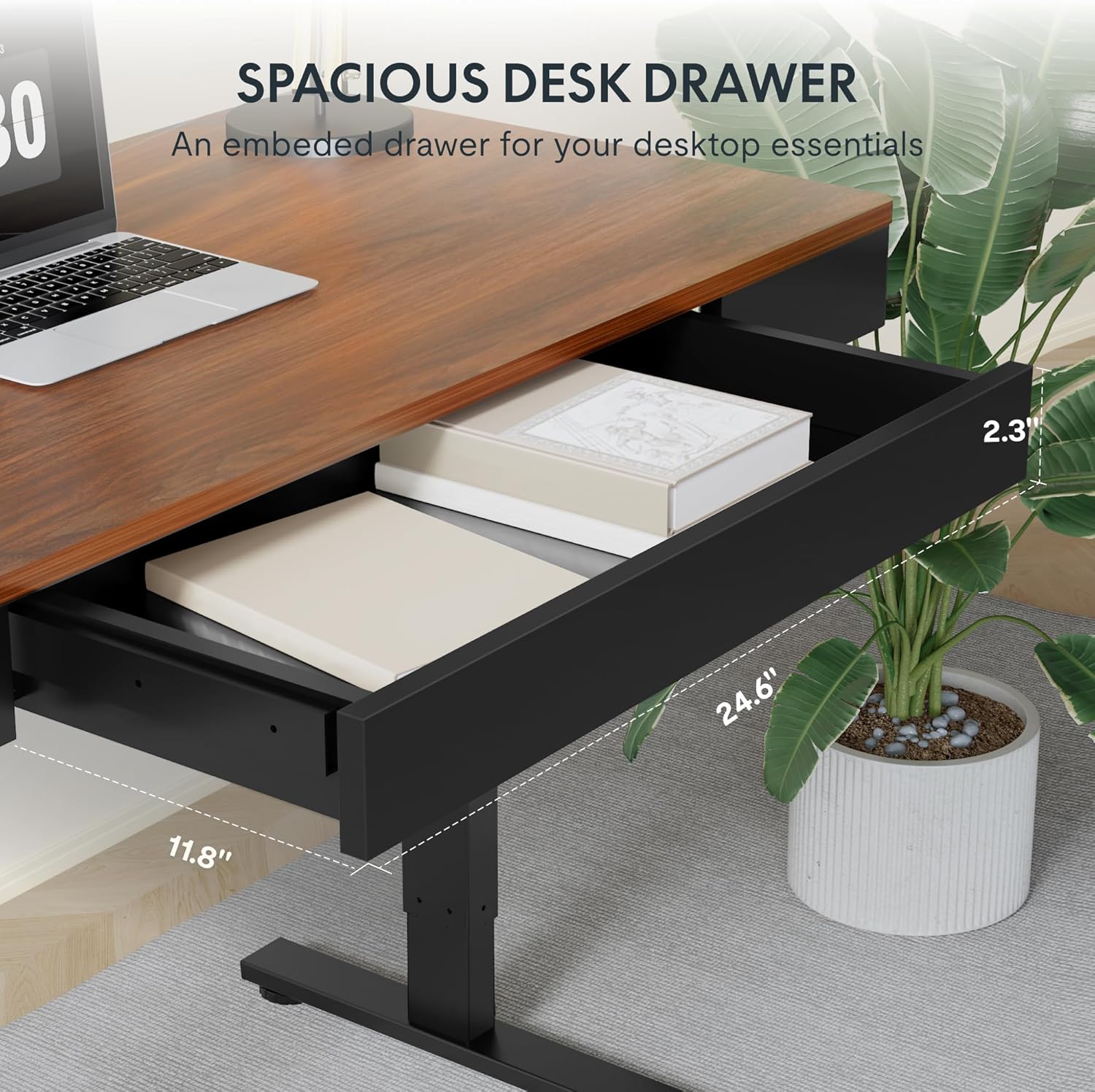 FLEXISPOT Q5 Standing Desk with Drawer, 48 x 24 Inch Electric Adjustable Height Stand Up Desk with Storage Organizer, Whole Piece Wooden Desktop for Home, Office, Computer Workstation, Dark Walnut