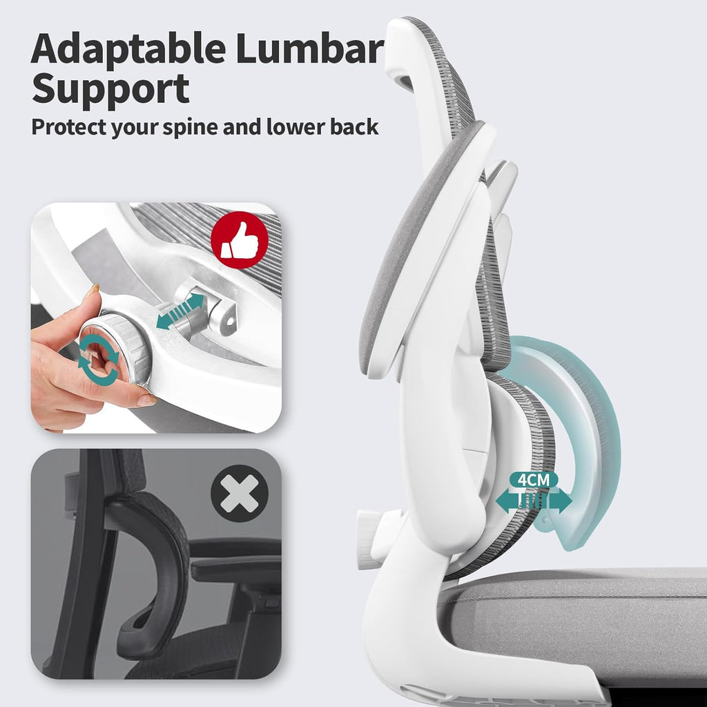TRALT Office Chair - Ergonomic Desk Chair with Adjustable Lumbar Support, Mesh Computer Chair, Executive Chairs for Home Office Comfortable Lumbar Support (Ash Gray)