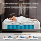 BedStory Extra Firm King Mattress 14 Inch,Hybrid Mattress in a Box with Extra Lumbar and Back Support, Signature Collection Mattresses Pressure Pain Relief, 365 Nights Trial, 10 Years Warranty