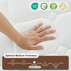 King Size Mattress 14 Inch, Hybrid Memory Foam Mattress in a Box .Medium Firm with Zoned Pocket Coils Support and Motion Isolation Design,CertiPUR-US Certified,80"*76"