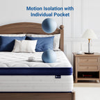 Avenco Queen Size Mattress, 10 Inch Queen Mattress with Individually Smarts Pocket Springs for Back Pain Relief, Hypoallergenic Fabric Box Spring No Need, Mattresses in a Box Medium Plush Support
