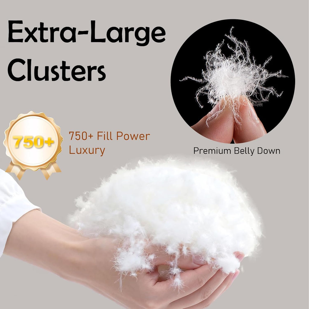 Premium King Goose Down Comforter – 95% Goose Down, 750+ Fill Power, 100% Cotton All Season | Oeko-Tex Certified, 1000+ Cleanliness, 90"x100" Duvet Insert