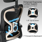 Ergonomic Office Chair, Mesh Desk Chair with Headrest, Lumbar Support, Thick Seat Cushion, Flip-up Arms, High Back Computer Task Chairs for Home Office, Black/Gold
