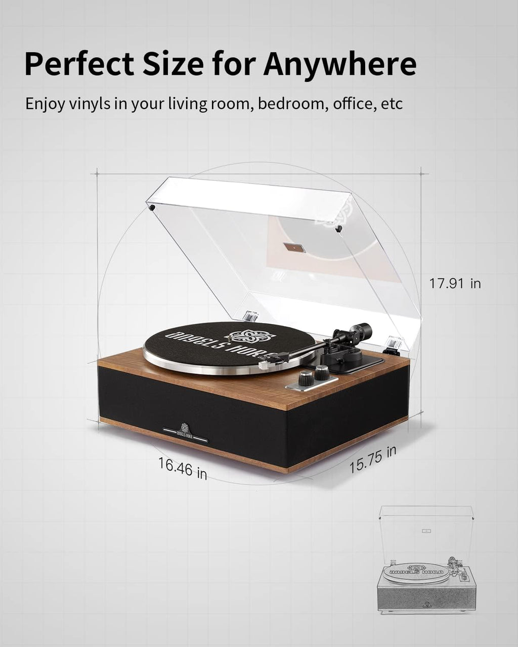 ANGELS HORN Vinyl Record Player  Bluetooth Turntable with Built in Speakers Phono Preamp  High Fidelity Turntables for Vinyl Records with Magnetic Cartridge AT-3600L  Belt Drive 2-Speed