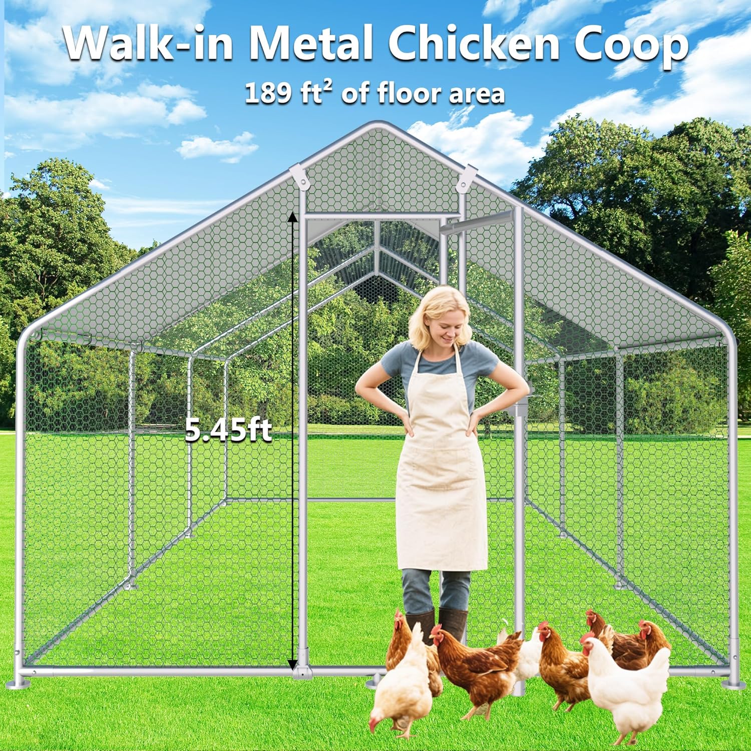 HITTITE Large Metal Chicken Coop with Run  19.19 x 9.84 x 6.56 ft Walk in Poultry Cage Chicken Run Pen  Outdoor Chicken Runs for Yard with Waterproof & Anti-UV Cover