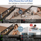 Queen Size Loft Bed with Stairs and Storage, Metal Loft Bed Frame with Bedside Shelf and Large Under-Bed Space, Heavy-Duty Loft Beds for Adults Teens and Kids, Convertible Staircase, Black