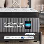 BedStory Extra Firm Queen Mattress 14 Inch, Deep Sleep Hybrid Mattresses 7-Zone Pain Relief - Extra Firm Bed in a Box - Fiberglass Free, CertiPUR-US Certified, 365-Night Trial, 10 Years Warranty
