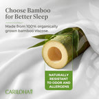 Cariloha 100% Organic Bamboo Viscose Sheets – 4-Piece King Sheet Set – 16 in Deep Pockets – Buttery Soft, Hypoallergenic, Cooling Sheets – Oeko-TEX Standard 100 – White
