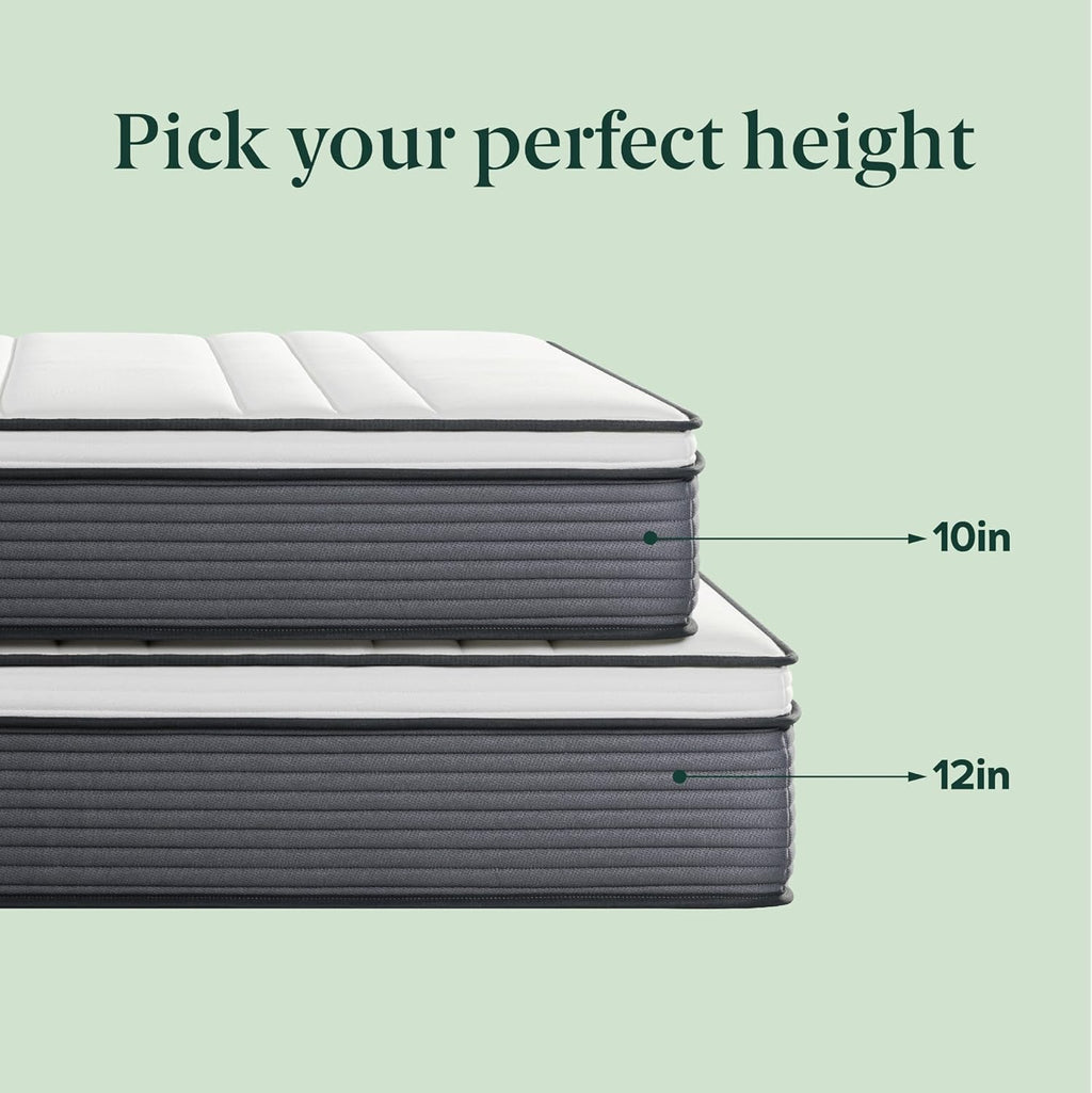 ZINUS 12 Inch True Support Hybrid Mattress New Version, Queen, Fiberglass Free, Medium Feel, Motion Isolation, Certified Safe Foams & Fabric, Mattress in A Box