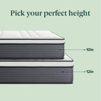 ZINUS 12 Inch True Support Hybrid Mattress New Version, Queen, Fiberglass Free, Medium Feel, Motion Isolation, Certified Safe Foams & Fabric, Mattress in A Box