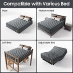 12 inch Firm Queen Mattress, Hybrid Mattress with Extra Back and Lumbar Hip Support, Pressure and Back Pain Relief, Fiberglass Free, 365 Nights Trial,10 Years Warranty
