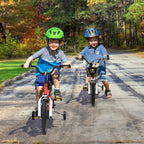 COSTWAY Kids Bike, 12 14 16 18 20 Inch Toddler Bike for Boys & Girls Aged 3-8 Years Old, Kids Bicycle w/Removable Training Wheels, Handbrake & Coaster Brake, Basket, Bell