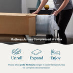 Lucid 10 Inch Memory Foam Mattress - Medium Feel - Infused with Refreshing Bamboo Charcoal and Cooling Gel - Bed in a Box - Temperature Regulating - Pressure Relief - Breathable - Queen Size