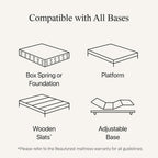 Beautyrest Prime Dream Medium 12.5" Mattress - Twin XL - Durable Pocketed Coil, Support, Pressure Relief, Cooling, Motion Separation; 100 Night Sleep Trial and 10 Year Warranty