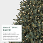 Balsam Hill 7.5ft Pre-Lit Classic Blue Spruce - Artificial Christmas Tree with 1000 Clear Incandescent Lights, Easy Plug Technology, Premium Stand for Indoor Holiday Decorating