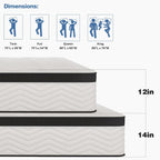 14-Inch Queen Size Mattress - Hybrid Medium Firm Queen Mattress Memory Foam CertiPUR-US Certified Innerspring Pressure Relief Motion Isolation Matress in a Box
