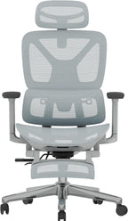 FLEXISPOT ErgoX Premium Ergonomic Office Chair with Footrest- Adjustable 3D Armrests, Dynamic Lumbar Support, Recline & Tilt Function, Mesh Seat, for Home & Office Use,Blue