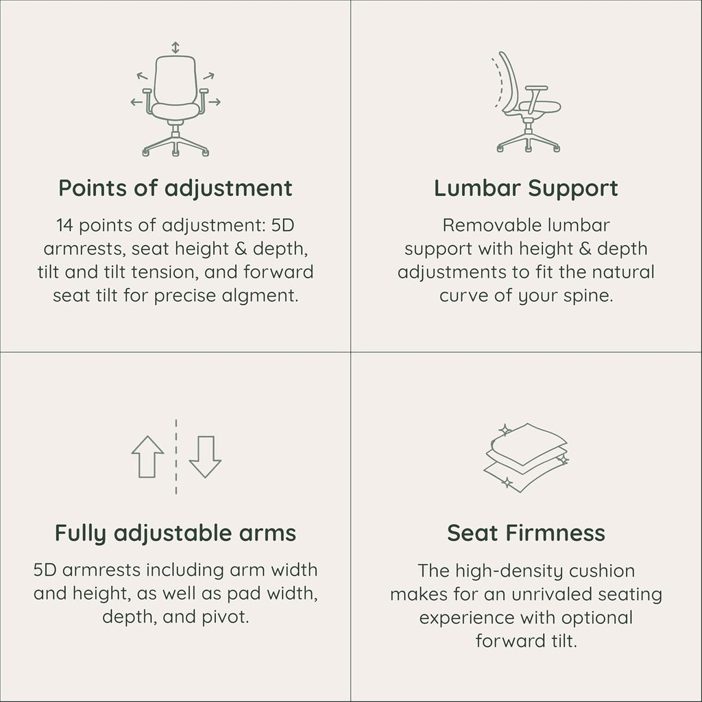 Branch Ergonomic Chair Pro - Mesh Office Chair with 14 Points of Adjustment - Height, Depth & Tilt Adjustable - 5D Armrests - Forward Tilt, Smooth Recline, and Lumbar Support - Shore