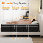 14 Inch Queen Mattress, Hybrid Mattress Queen Size Bed with Gel Memory Foam and Pocket Springs, 365-Night Trial, Pressure Relief Comfy Bed in a Box, CertiPUR-US, Medium Plush