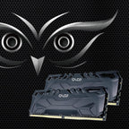 OLOy DDR4 RAM 16GB (2x8GB) Black Owl 2666 MHz CL19 1.2V 288-Pin Desktop UDIMM (MD4U0826190BJ0DA)