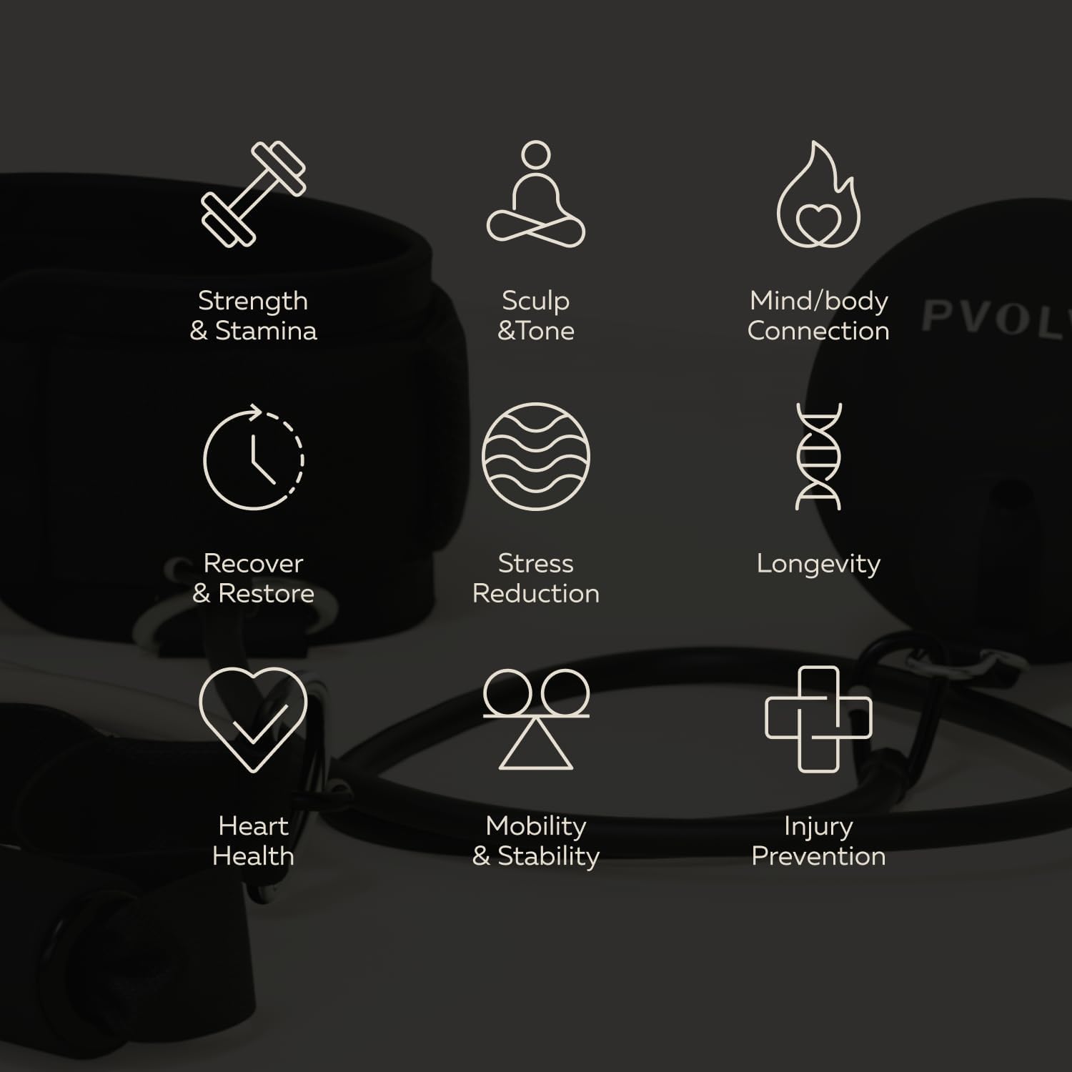 Pvolve P.3 Trainer- Home Gym Fitness Equipment Resistance Band with Ankle Strap and Weight System