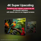 LG 65-Inch Class QNED QNED82A Series Smart TV w/AI Sound  HDR10  4K Super Upscaling  Filmmaker Mode  Wow Orchestra  Alexa Built-in (65QNED82AUA  2025)