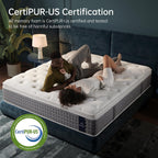 14 Inch King Size Mattress, Medium Plush Hybrid with Memory Foam & Individually Wrapped Coils, CertiPUR-US Certified, Fiberglass-Free Design (14 inch, King)
