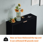 Shoe Cabinet Storage,Modern Freestanding Organizer with 2 Flip Drawers,Narrow Shoe Rack Cabinet for Entryway,Black