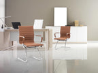 HNY Leather Office Guest & Reception Chairs Set of 2, Modern Waiting Room Chairs with Arms, Desk Chair no Wheels with Sled Base for Conference Room, Coffee