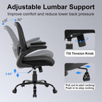 Office Chair Ergonomic Desk Chair Mesh Computer Home Office Desk Chair with Adjustable Lumbar Support Flip-up Armrests, 360 Swivel Comfy Task Executive Chair, Black