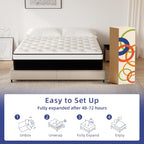 Queen Mattress, 14 Inch Queen Hybrid Mattress in a Box with Memory Foam, Medium Firm, Euro Top, Reinforced Edge Support, Pressure Relief & Motion Isolation, CertiPUR-US Certified