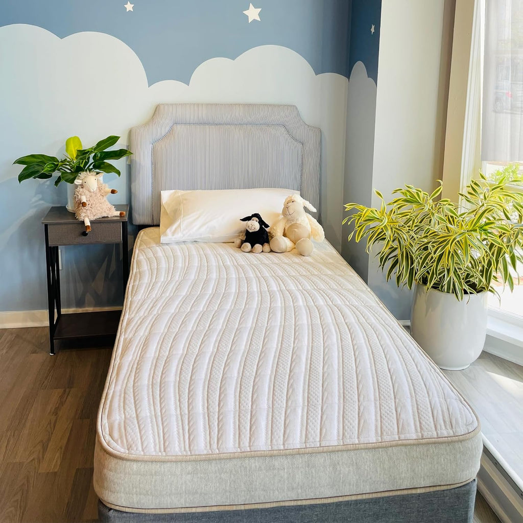 Ethical Mattress CO 6" Kid's Mattress, Toxin-Free, Made in The USA with Organic Cotton, Wool, Latex & Pocketed Coils (Bed-in-a-Box); Perfect for bunk beds, trundles & Platform beds - Twin Size