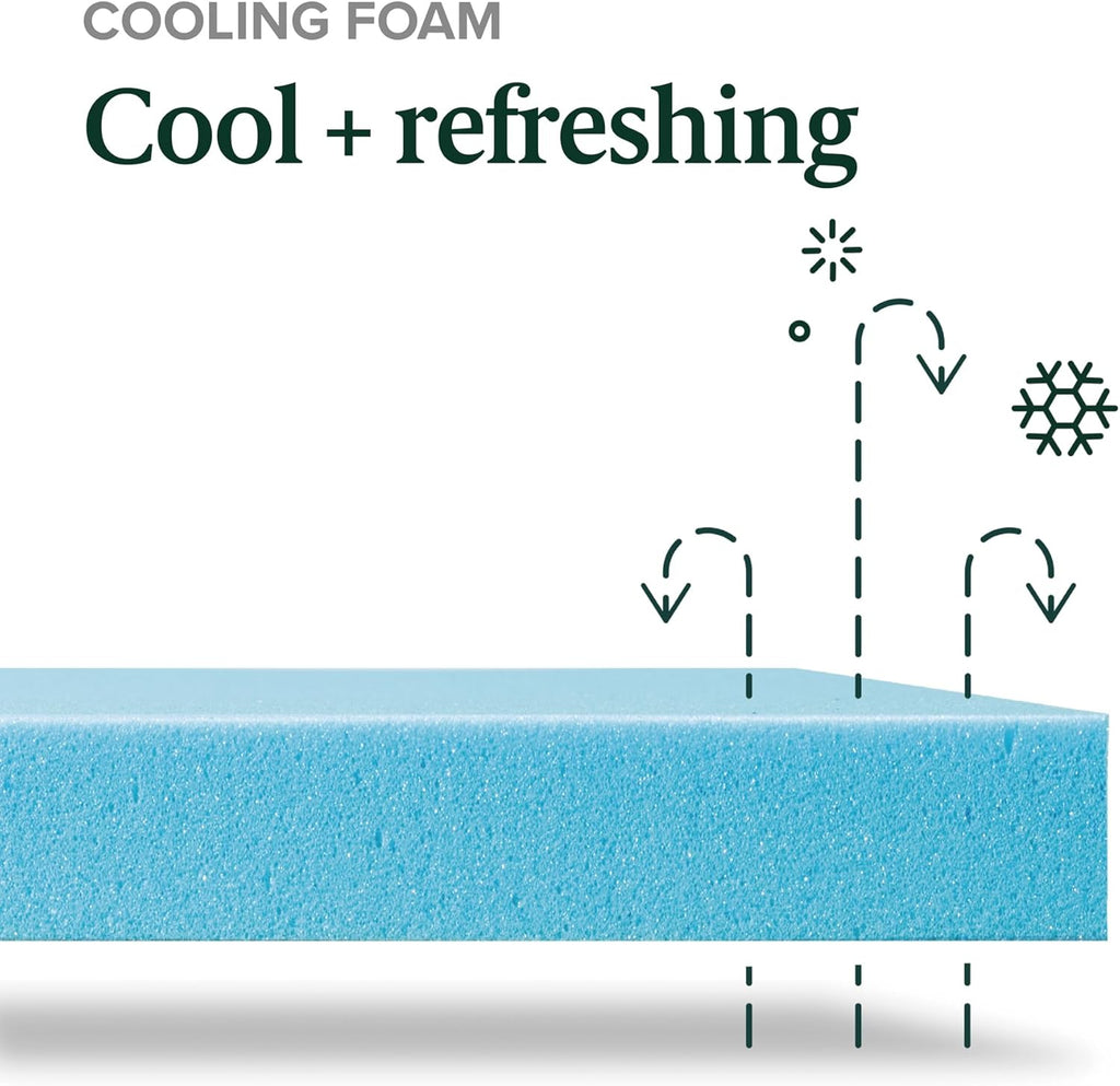 Zinus 12 Inch Green Tea Cooling Memory Foam Mattress New Version, Queen, Fiberglass Free, Medium Firmness, Cooling Gel Foam, Certified Safe Foams & Fabric, Mattress in A Box