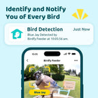 NETVUE by Birdfy Smart Bird Feeder with Camera Solar Power  Smart AI Birdwatching Camera  Auto Capture & Notify  Clear Day & Color Night Video & Pictures  Ideal Gift for Lover