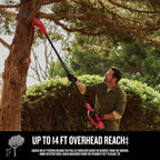CRAFTSMAN Pole Saw, Pole Saws for Tree Trimming, Cordless V20 Tool-Only Tree Trimmer, Up to 14 Ft Extended Reach (CMCCSP20B)