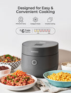 CUCKOO Micom Rice Cooker 6-Cup Uncooked / 12-Cup Cooked with Nonstick Inner Pot, Versatile Rice Maker with 9 Menu Options, Fuzzy Logic Technology, Auto Clean, Quick Rice Mode, Gray (CR-0675FG)